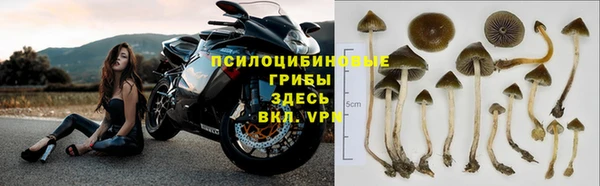 spice Баксан