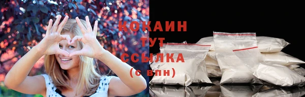 прущие грибы Аркадак