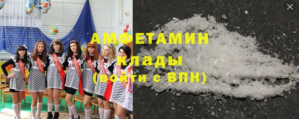 прущие грибы Аркадак