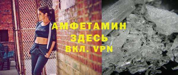 прущие грибы Аркадак