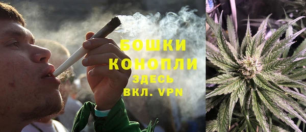 прущие грибы Аркадак