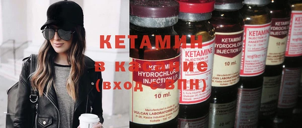 прущие грибы Аркадак