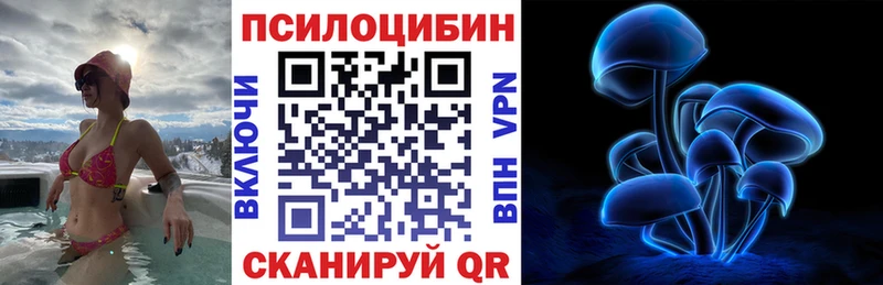 кракен зеркало  Змеиногорск  Псилоцибиновые грибы Magic Shrooms 