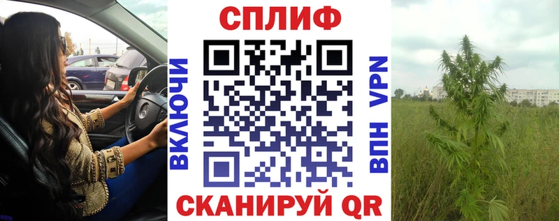 hydra как войти  Змеиногорск  Бошки Шишки White Widow 